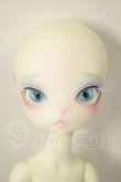 画像2: 【DOLK×DOLL ZONE】Miss kitty - Nightingale ver. Limited ＜Special Reissue 2025＞ A-26-06-15-311-NY-ZA (2)