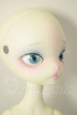 画像3: 【DOLK×DOLL ZONE】Miss kitty - Nightingale ver. Limited ＜Special Reissue 2025＞ A-26-06-15-311-NY-ZA (3)