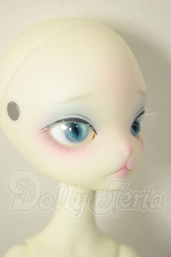 画像3: 【DOLK×DOLL ZONE】Miss kitty - Nightingale ver. Limited ＜Special Reissue 2025＞ A-26-06-15-311-NY-ZA (3)