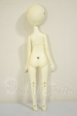 画像7: 【DOLK×DOLL ZONE】Miss kitty - Nightingale ver. Limited ＜Special Reissue 2025＞ A-26-06-15-311-NY-ZA (7)