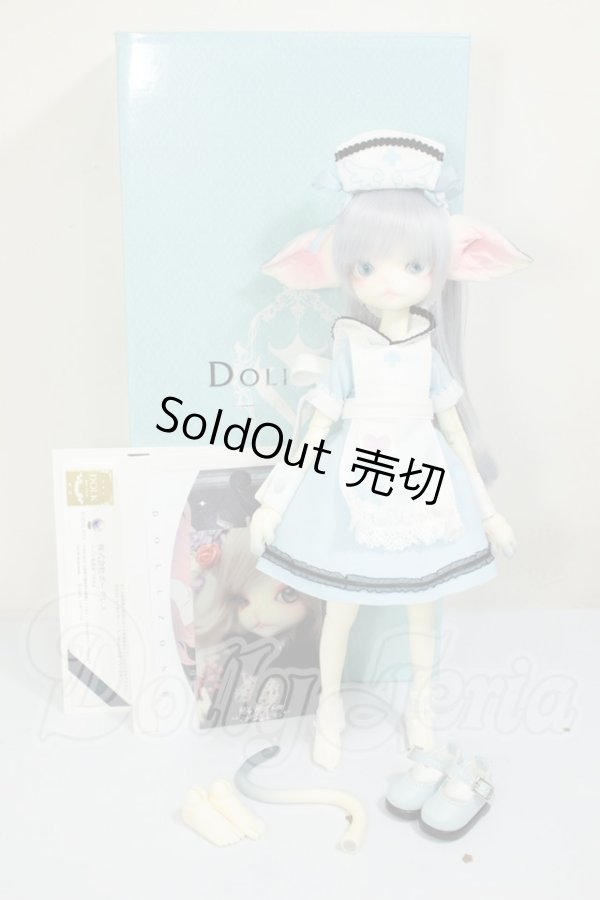 画像8: 【DOLK×DOLL ZONE】Miss kitty - Nightingale ver. Limited ＜Special Reissue 2025＞ A-26-06-15-311-NY-ZA (8)