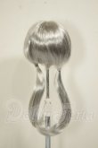 画像2: 6-7inch/TinyFox リトルアンナ デフォルトウィッグ A-26-06-15-315-NY-ZA (2)