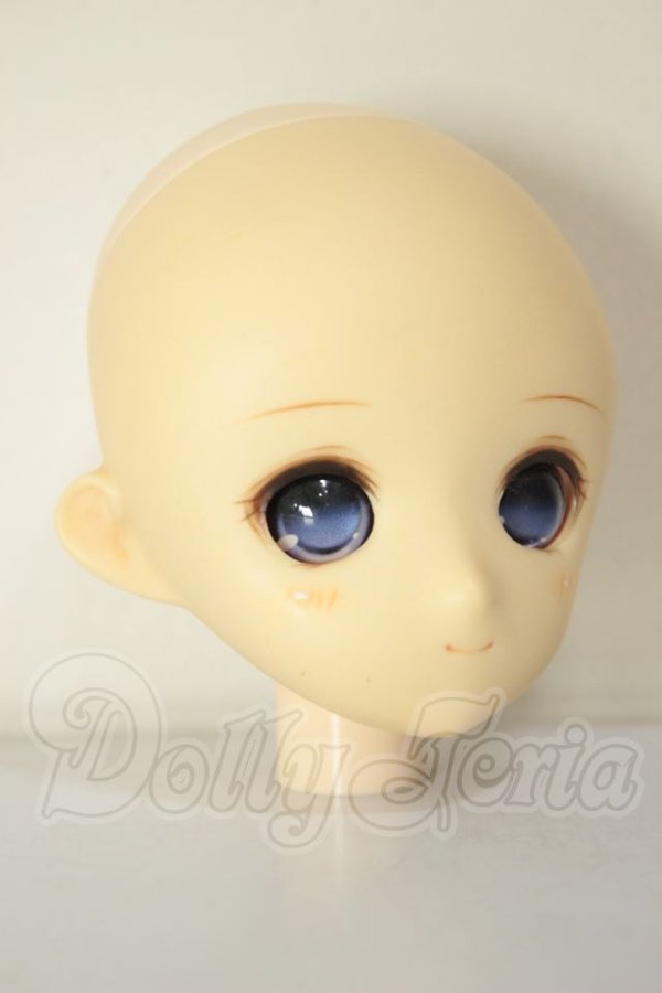 画像3: パラボックス/姉姫ヘッド A-26-06-22-119-NY-ZA (3)