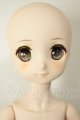 画像: MDD/霧雨魔理沙 A-26-06-15-352-NY-ZA