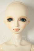 画像1: ビジュアドールVisuadoll/小花萌黄・ベーシックver (モエギ) A-26-06-15-400-NY-ZA (1)