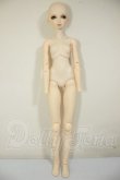 画像4: ビジュアドールVisuadoll/小花萌黄・ベーシックver (モエギ) A-26-06-15-400-NY-ZA (4)