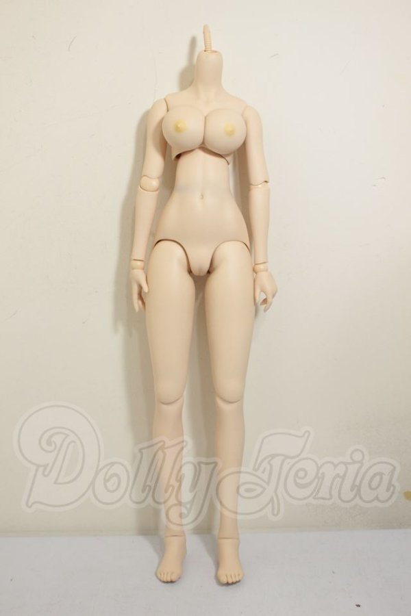 画像1: DDdy/ベースボディ A-26-06-29-156-NY-ZA (1)