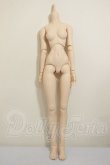 画像1: DD/ベースボディIII A-26-06-29-155-NY-ZA (1)