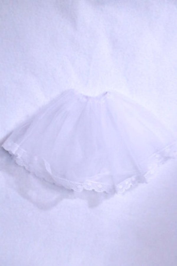 画像2: MDD/OF:パニエ/0 A-26-10-19-011-NY-ZA (2)