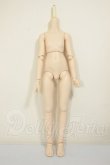 画像1: MDD/ベースボディ(DD-f3) A-26-06-29-105-NY-ZA (1)