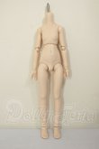 画像1: MDD/ベースボディIII A-26-06-29-106-NY-ZA (1)