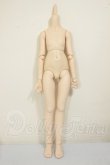 画像1: MDD/ベースボディ(DD-f3) A-26-06-29-104-NY-ZA (1)