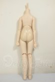 画像2: MDD/ベースボディ(DD-f3) A-26-06-29-104-NY-ZA (2)