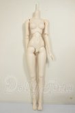 画像1: DD/ベースボディIII A-26-06-29-103-NY-ZA (1)