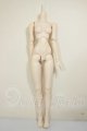 画像: DD/ベースボディIII A-26-06-29-103-NY-ZA