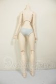 画像2: DD/ベースボディIII A-26-06-29-102-NY-ZA (2)