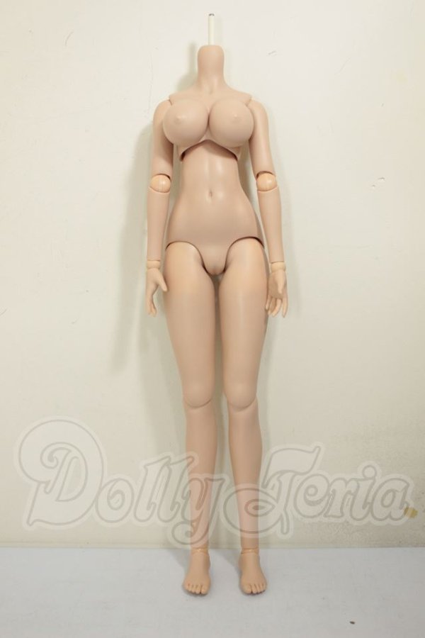 画像1: DDdy/ベースボディF3 A-26-06-29-101-NY-ZA (1)