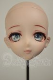画像1: DDH-11/カスタムヘッド A-26-06-22-307-NY-ZA (1)