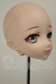 画像2: DDH-11/カスタムヘッド A-26-06-22-307-NY-ZA (2)