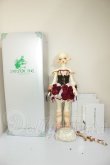 画像5: Gem of Doll/Aries A-26-06-22-293-NY-ZA (5)