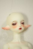 画像3: Gem of Doll/Aries A-26-06-22-294-NY-ZA (3)
