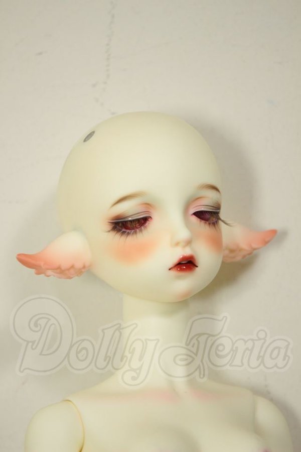 画像3: Gem of Doll/Aries A-26-06-22-294-NY-ZA (3)