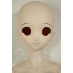 画像: DD/DDH-06メイク済ヘッド+DDdyボディ A-26-06-22-304-NY-ZA