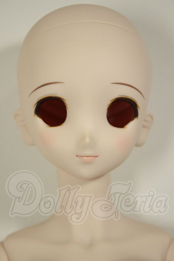 画像1: DD/DDH-06メイク済ヘッド+DDdyボディ A-26-06-22-304-NY-ZA (1)