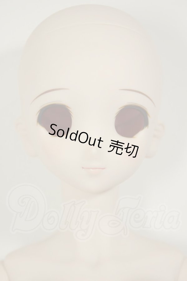 画像1: DD/DDH-06メイク済ヘッド+DDdyボディ A-26-06-22-304-NY-ZA (1)