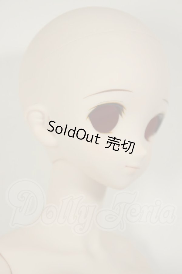 画像2: DD/DDH-06メイク済ヘッド+DDdyボディ A-26-06-22-304-NY-ZA (2)