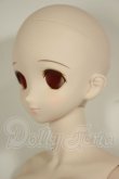 画像3: DD/DDH-06メイク済ヘッド+DDdyボディ A-26-06-22-304-NY-ZA (3)