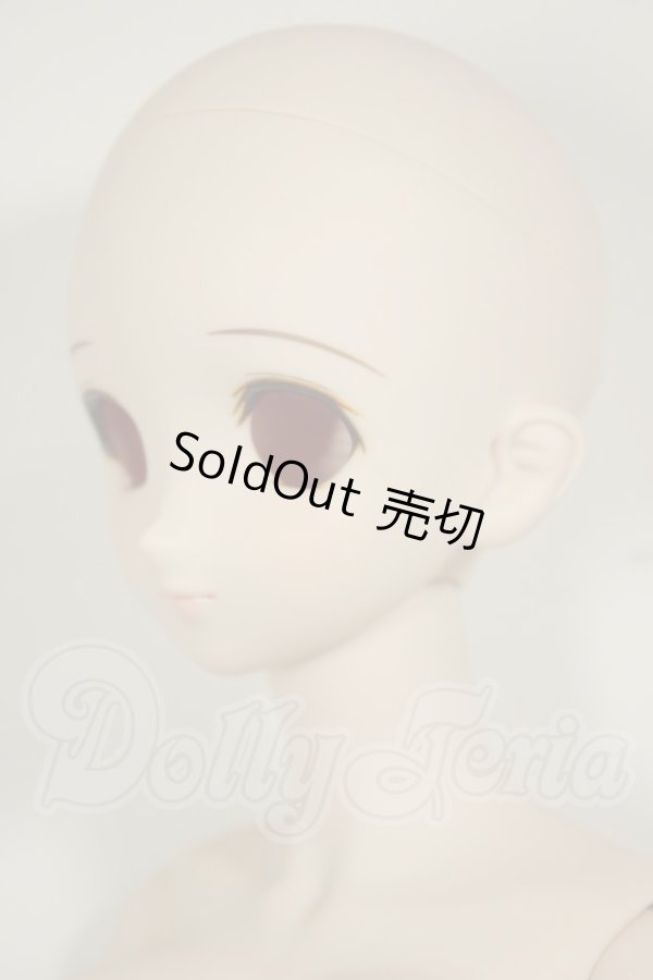 画像3: DD/DDH-06メイク済ヘッド+DDdyボディ A-26-06-22-304-NY-ZA (3)