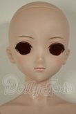 画像1: DD/DDH-09ヘッド+ベースボディDD-f3 A-26-06-22-303-NY-ZA (1)