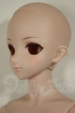 画像3: DD/DDH-09ヘッド+ベースボディDD-f3 A-26-06-22-303-NY-ZA (3)