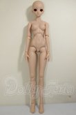 画像5: DD/DDH-09ヘッド+ベースボディDD-f3 A-26-06-22-303-NY-ZA (5)