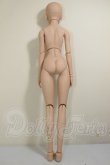 画像6: DD/DDH-09ヘッド+ベースボディDD-f3 A-26-06-22-303-NY-ZA (6)