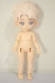 画像2: SIMONTOYS　ペテルソン園遊会/ネコ A-26-06-29-144-NY-ZA (2)