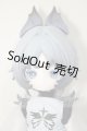 画像: ルルリン物語2/天骨狼 A-26-06-29-164-NY-ZA