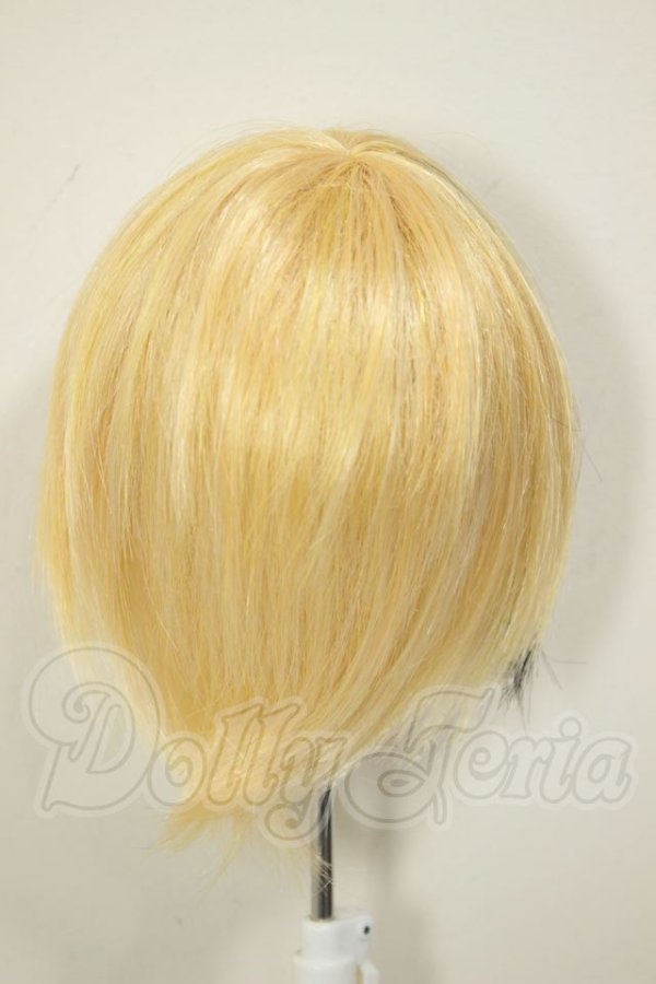 画像2: 9-10inch/ウィッグ A-26-06-29-209-NY-ZA (2)