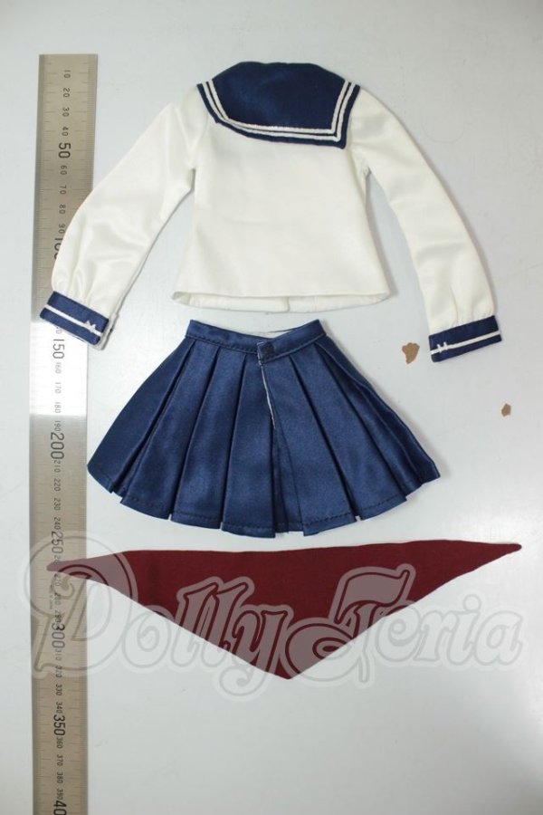 画像2: SDM＆MSD/OF:衣装セット A-26-06-29-248-NY-ZA (2)