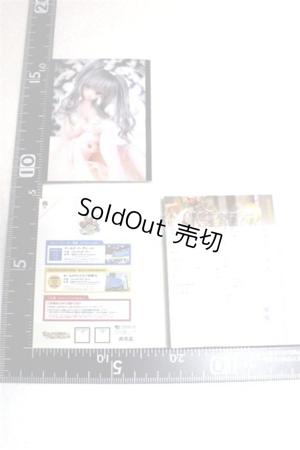 画像2: SD/豆本 A-26-07-21-098-NY-ZA (2)