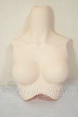 画像1: DDS/上半身パーツ　M胸 A-26-06-29-336-NY-ZA (1)