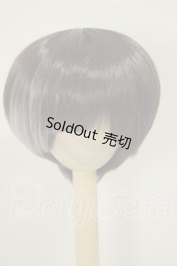 画像1: 8-9inch/ウィッグ A-26-07-06-317-NY-ZA (1)