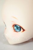 画像3: DD/DDH-27　カスタムヘッド A-26-06-29-316-NY-ZA (3)