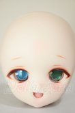 画像1: DD/DDH-01 (カスタマー様)カスタムヘッド A-26-06-29-315-NY-ZA (1)