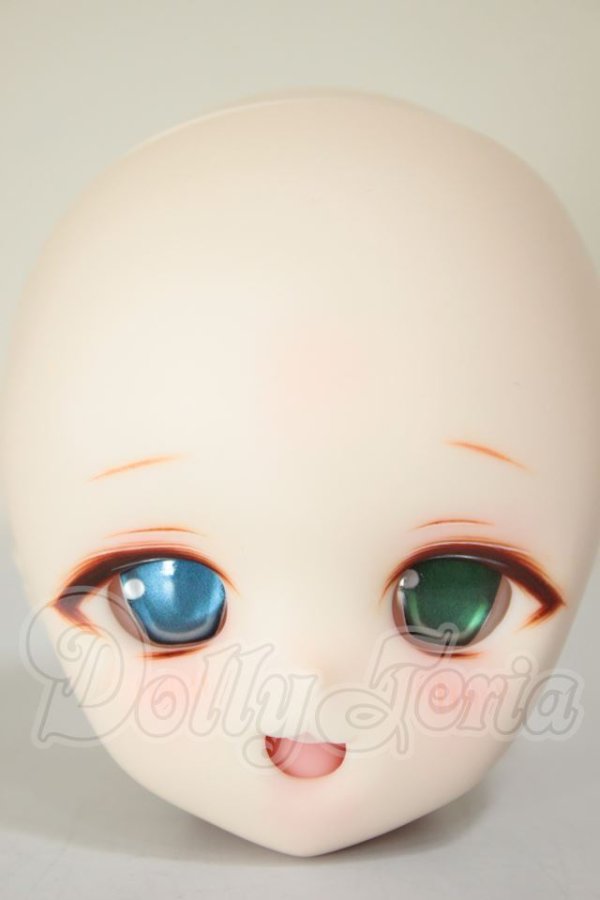 画像1: DD/DDH-01 (カスタマー様)カスタムヘッド A-26-06-29-315-NY-ZA (1)