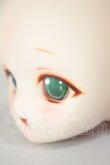 画像3: DD/DDH-01 (カスタマー様)カスタムヘッド A-26-06-29-315-NY-ZA (3)