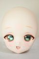 画像: DD/DDH-01 (カスタマー様)カスタムヘッド A-26-06-29-314-NY-ZA