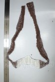 画像2: MDD/OF:コルセット・ビスチェ A-26-07-06-148-NY-ZA (2)