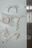 画像2: ルルリン物語/ 骸骨の翼 色違い　パーツ A-26-07-06-176-NY-ZA (2)